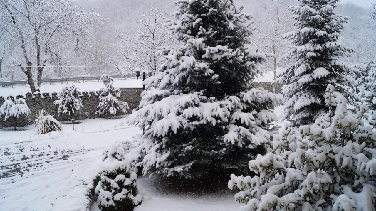 Gabala Yeddi Gozel Hotel 외부 사진